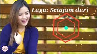 Setajam Duri Lagu Terbaru 2022