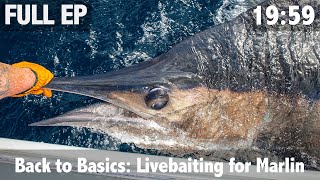 Back to Basics Livebaiting for Marlin