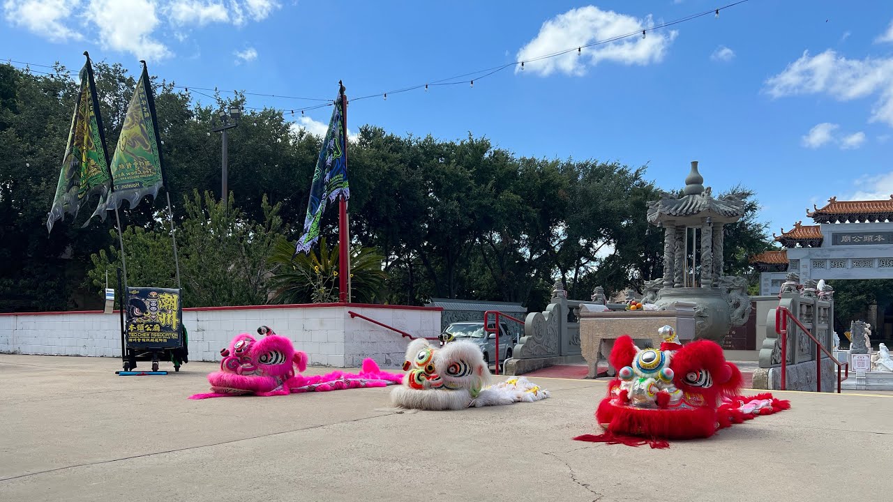 TEO CHEW TEMPLE | Lion dance 🦁 | TCT lion dance