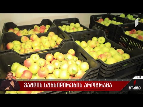 სახელმწიფო ფერმერებს ვაშლის რეალიზაციაში დაეხმარება