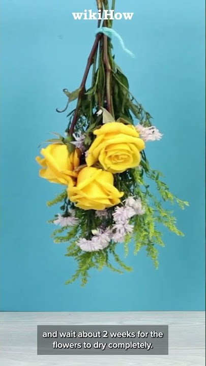 Learn How to Preserve Flowers 💐 🌹 🌻 #shorts