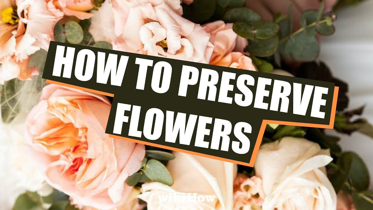 How to Dry Roses: 14 Steps (with Pictures) - wikiHow