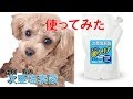 コロナ対策☆次亜塩素酸を使ってみた①準備編【トイプードルのエネン君♪】