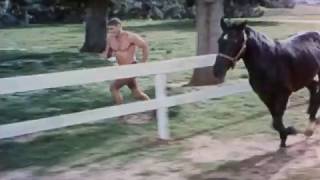 The Swimmer TV Spot #4 (1968)