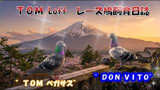 26 03 06（金）舎外再開＆８００K申し込み羽数