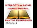 Виктор Куриленко - Мудрость и разум народа Божьего 07/08/2016