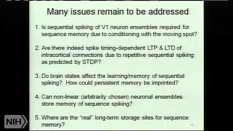 Neural Plasticity: From Synapse to Perception