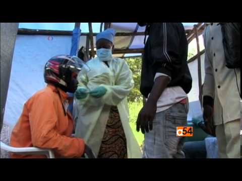Video: Kan Veterinærmedicin Hjælpe Med At Finde En Kur Mod Ebola?