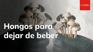 El método alternativo para dejar la adicción al alcohol 🍄