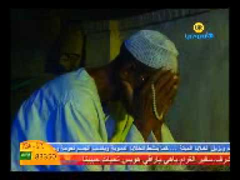 معاوية المقل