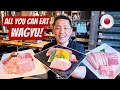 All you can eat wagyu buffet in tokyo  yakiniku japanese restaurant in japan