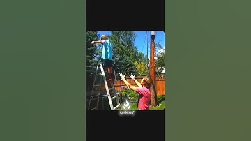 Rule No.1: Never Trust Anyone 😶 #motivation #short #millionairemindset #mindset #ignite.self