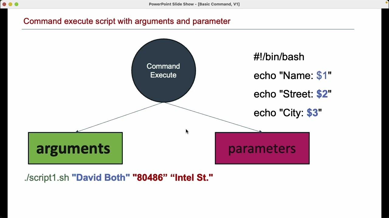 Build Script With Parameter and Argument - YouTube