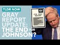 What's Really in the Gray Report... and Could it End Johnson? - TLDR News