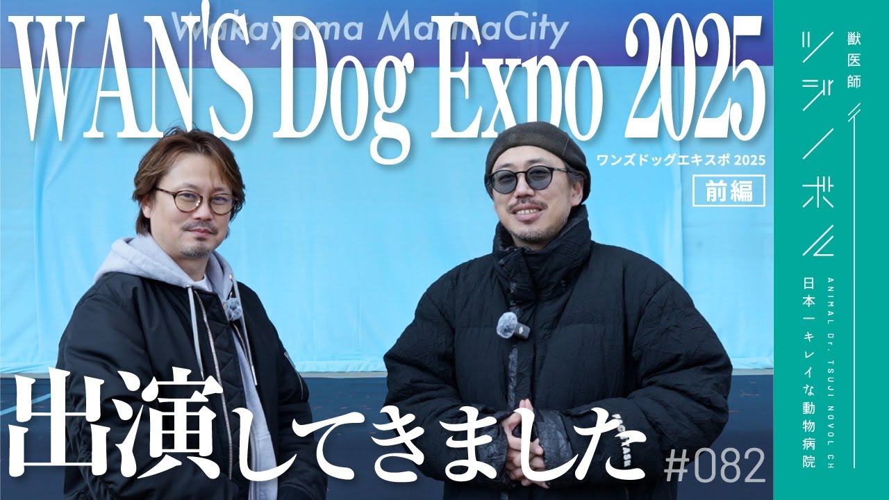 初心者のための小動物の実践外科学 : ロジックで攻める!!　動物病院　獣医 初心者のための小動物の実践外科学 : ロジックで攻める!! 動物病院 獣医