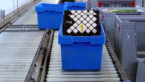 Conex Distribution - Corporate Video 2025