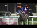 RM10 Al RAYAN RACE-5 Zekreet Cup