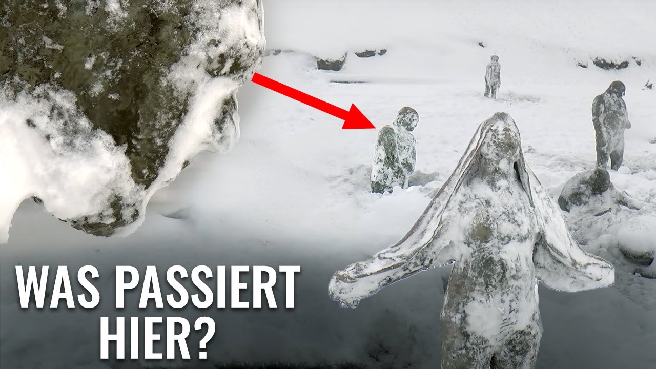 Kröte Im Winter Gefunden Was Tun Was eingefroren im Eis gefunden wurde, überraschte die ganze Welt