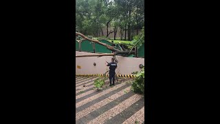 This happened 5 mins later during TYPHOON PAENG 🇵🇭!... | #shorts #typhoon #typhoonpae