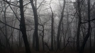 Dark Tension Rising Music | (Download and Royalty FREE)