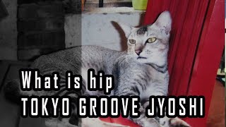 What is hip    TOKYO GROOVE JYOSHI