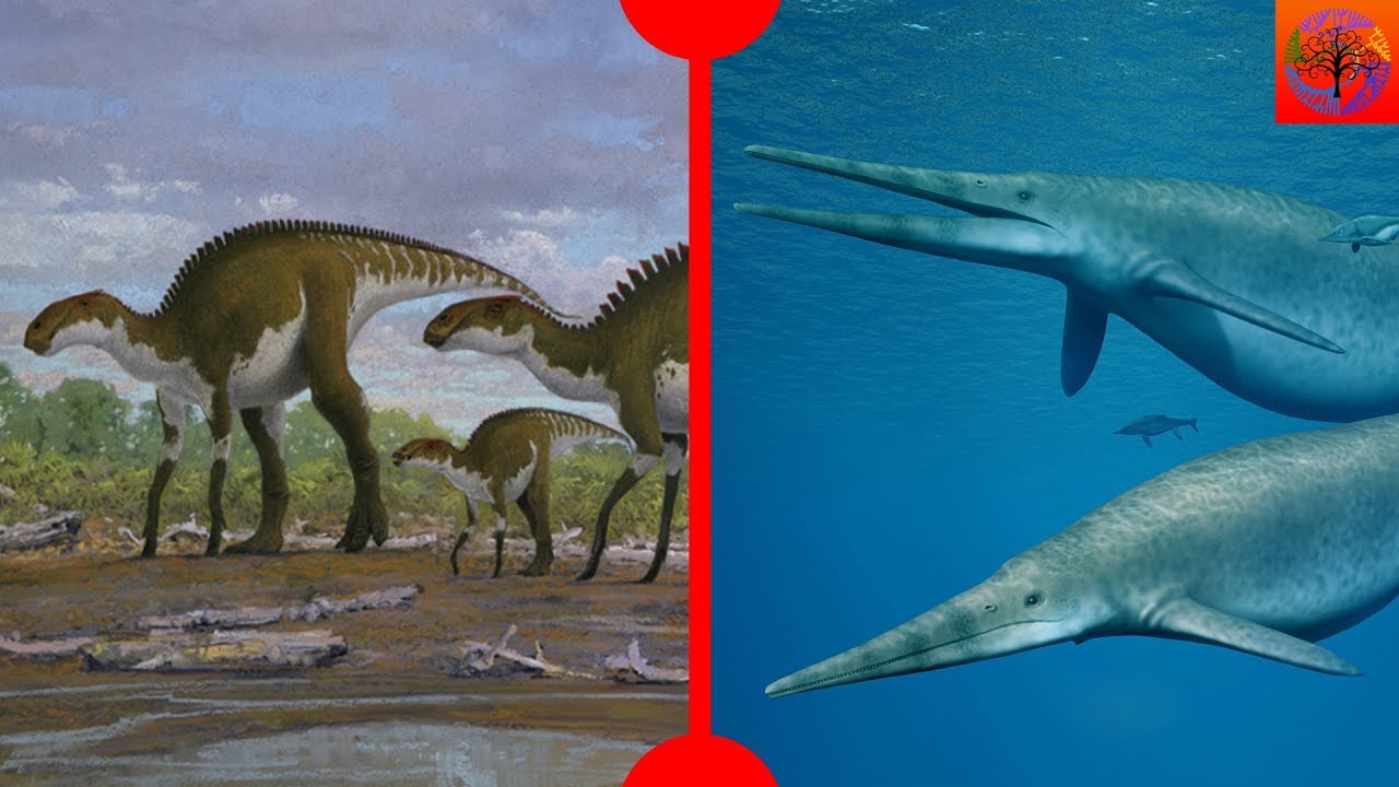 Biotic Revenge Largest Marine Reptile Ever 7 Days Of Science biotic-revenge-largest-marine-reptile-ever-7-days-of-science