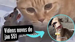 Download Lagu Vídeos novos de jau ferreira 551 MP3
