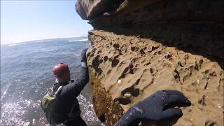 THE SEA CAVES IN SAN DIEGO ARE AMAZING!