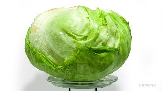 Lettuce On Scale