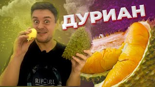 Король фруктов: ОПАСНОСТЬ, вкусы, запахи, внешний вид  | ПОЛНЫЙ ОБЗОР ДУРИАНА ВО ВЬЕТНАМЕ