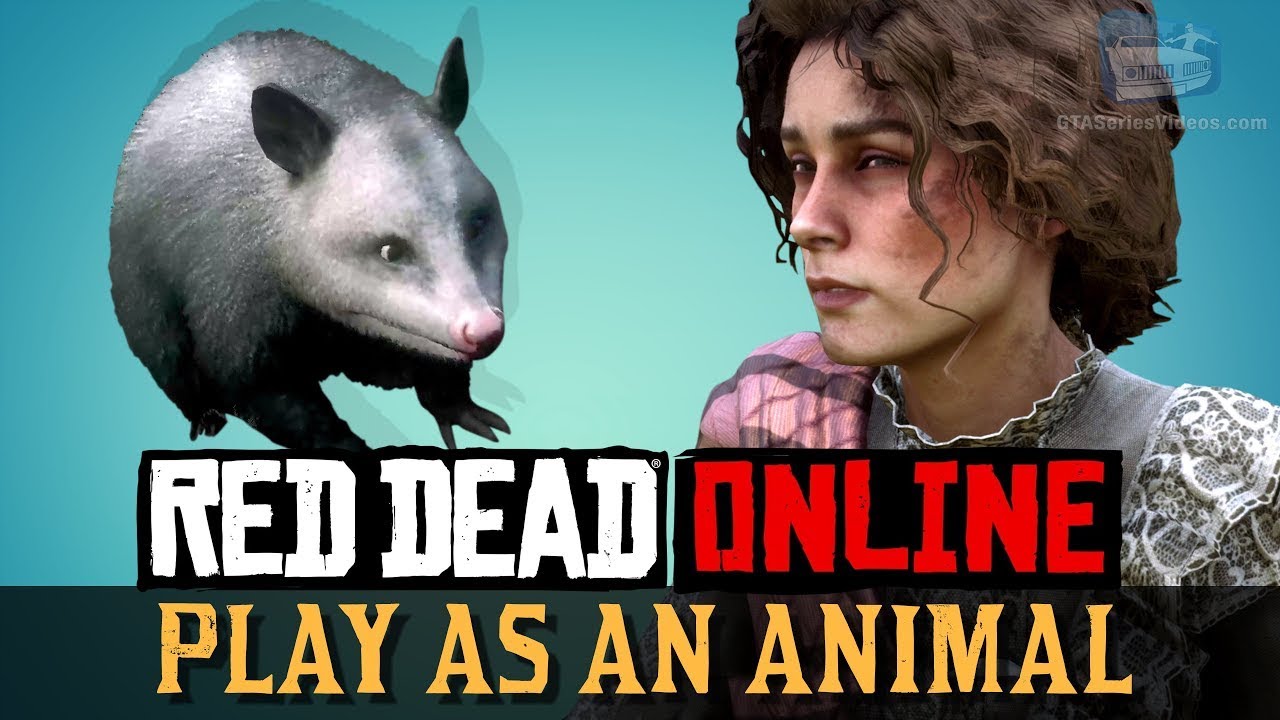 red dead redemption 2 opossum harriet officinalis and harriet