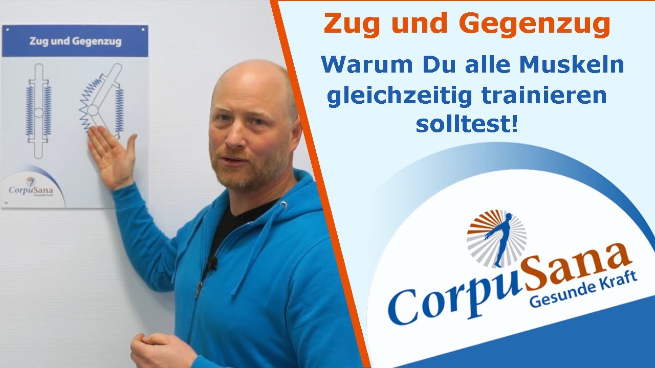 Warum Du alle Muskeln paralell trainieren solltest! | Zug  Gegenzug