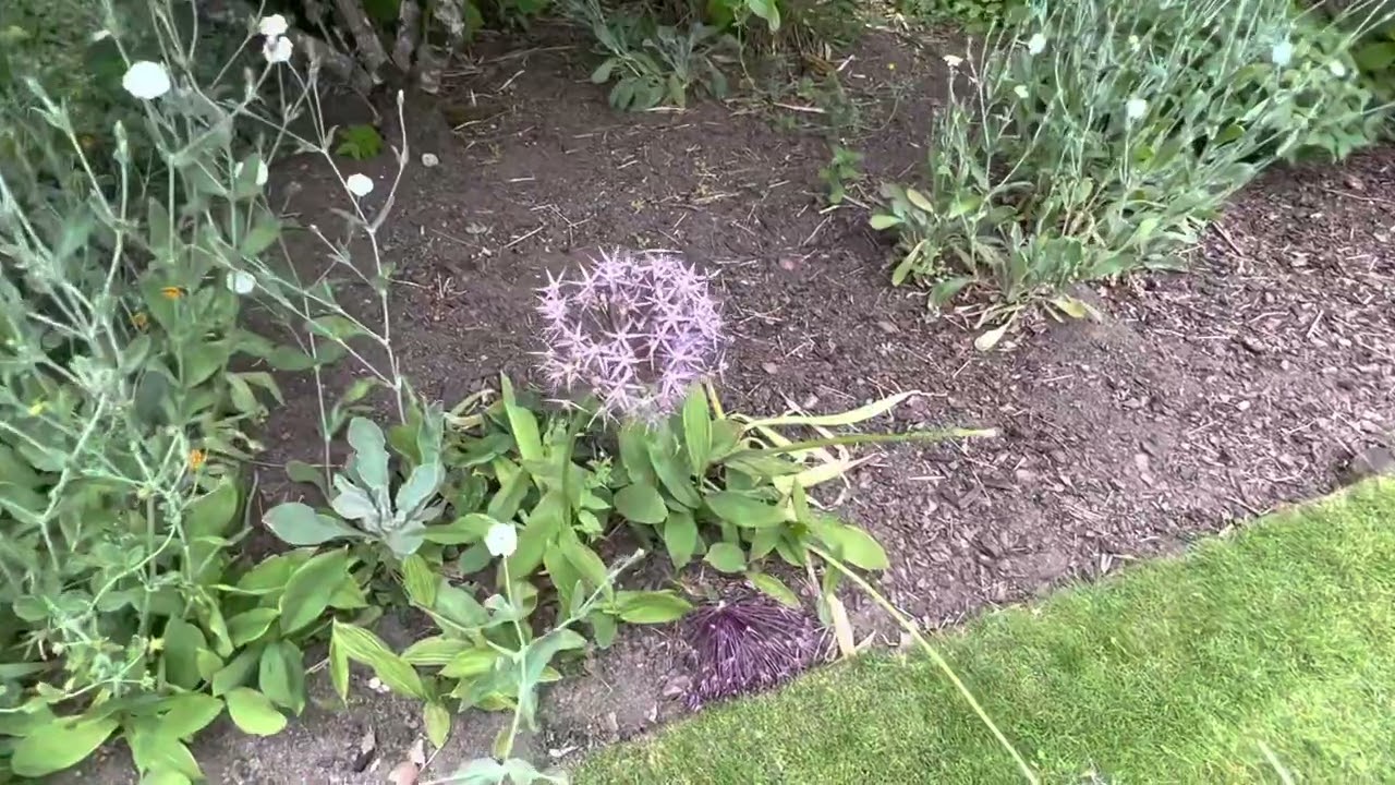 Tour of Castle Fraser Walled Gardens