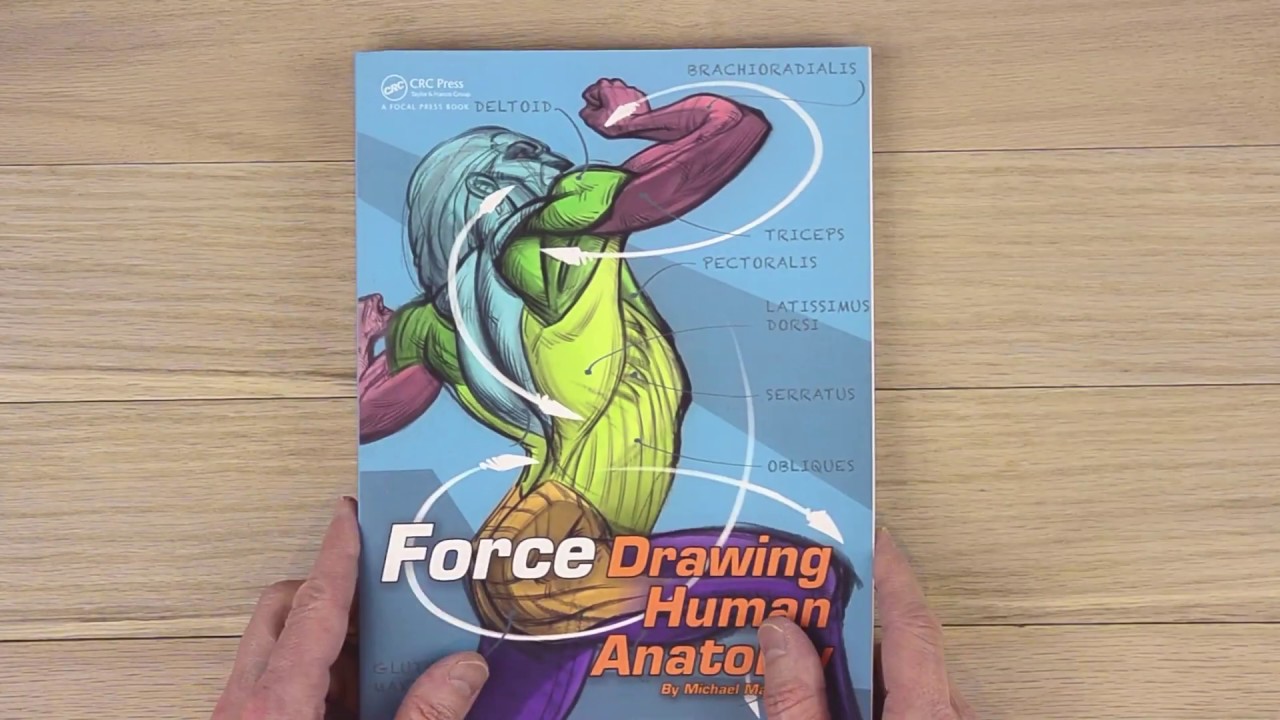 Force-Drawing Human Anatomy by Michael Mattesi - YouTube
