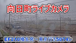 【向日町ライブカメラ】EF210幡生発~東京行き5074レ(フルフレームライナー)