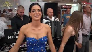 KOLO ZA SLAVLJENIKA - ORKESTAR KRALJEVI ( RESTORAN VIDIKOVAC )