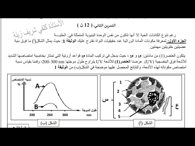 مناقشة التمرين 2 حول الانقسام المنصف والالقاح وتضاعف ADN /سنة 2 ع ت- رياضي
