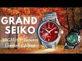 Grand Seiko SBGH269 Autumn Limited Edition Hi-Beat Review | Carat &amp; Co.