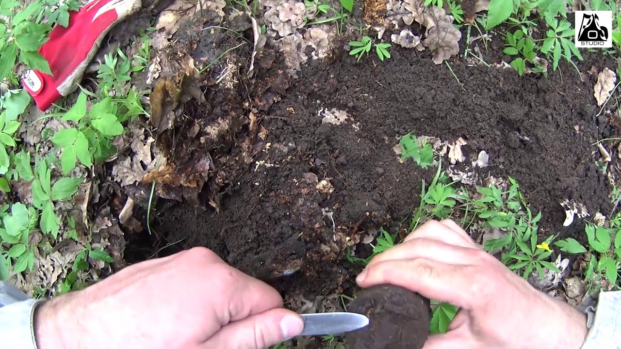 Граната РГД33 в боевом положении / Grenade RGD- 33 in a fighting position