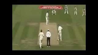 Ashes 2005:Glenn Mcgrath quick five wickets.flv