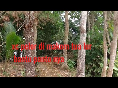 xc pelor di makam tua lur bantu pantonya dan lk nya