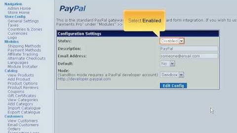 Website Payments Standard on CubeCart