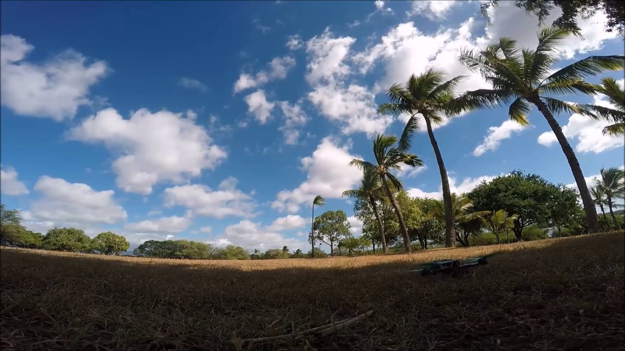 FPV Racing (Murder Track) Fly Aloha FPV MultiGP Chapter