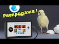 Убойный контроллер для инкубатора ZFX-W9002 / Обзор / Настройка