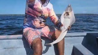 A Typical day in Cedros