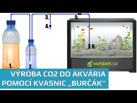 aquarium co2 system