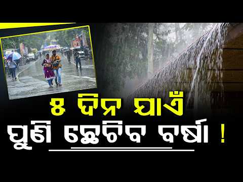 ରାଜ୍ୟରେ ପୁଣି ସକ୍ରିୟ ହୋଇଛି ବର୍ଷା: ବିଭିନ୍ନ ଅଞ୍ଚଳରେ ବର୍ଷା ଜାରି ରହିବ ll FOCUS PLUS ||