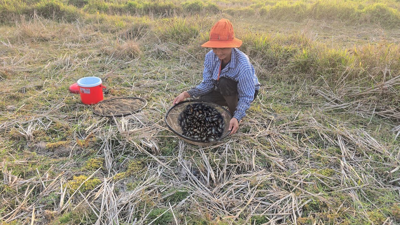 แตกซวดๆ!!โพดโพๆเเมงตับเต่าชอนค่ำๆหมานๆ!!6ก.พ69หมานๆครับผม