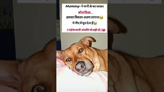 yaar mummy ne itna bezzati Kar Diya 😔😔