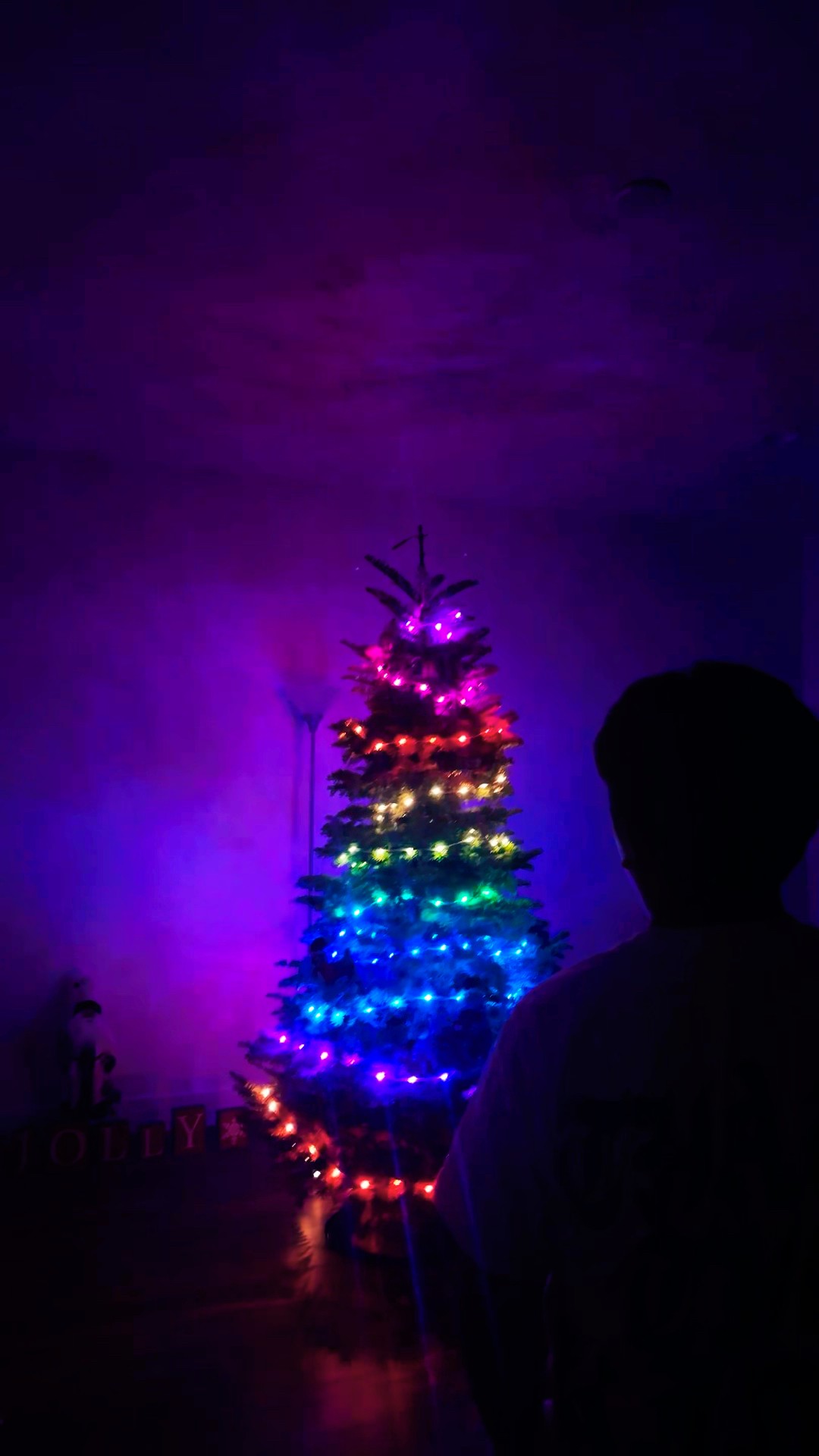 OUR CHRISTMAS DECOR! #foryou #fypシ゚ #fypage #fyp #christmas #shorts
